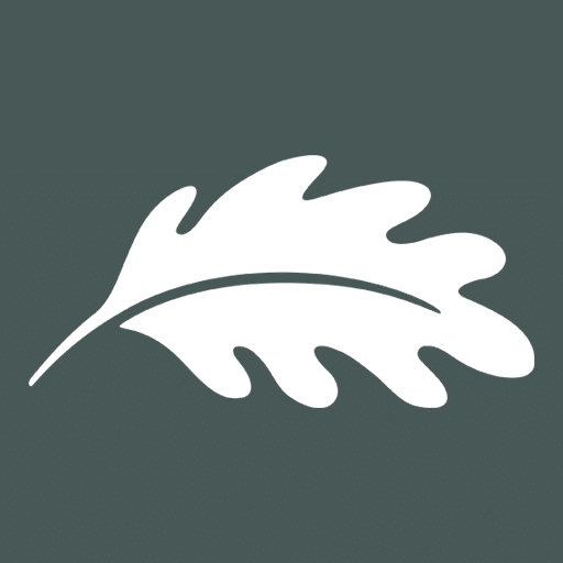 A white oak leaf on a black background.