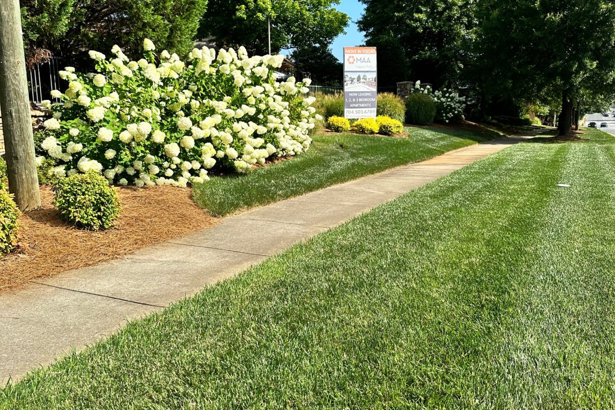 A lawn with bushes and trees in front of it.